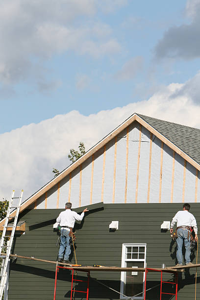 Best Shed Removal  in Tolono, IL